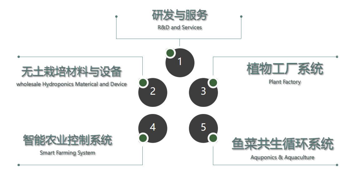 经营范围